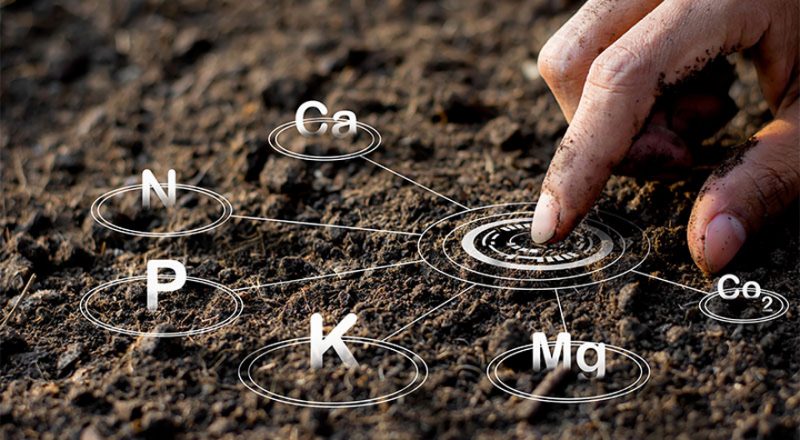 soil-analysis-1-copy3